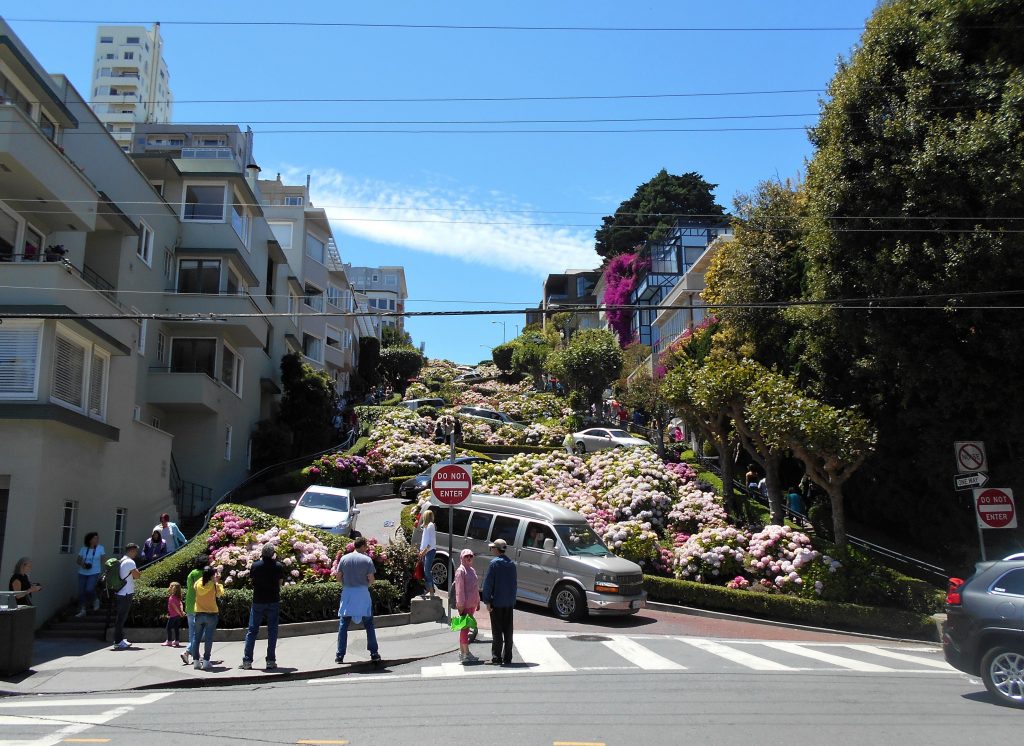 Lombard Street - Cosa fare e vedere a san francisco in due giorni