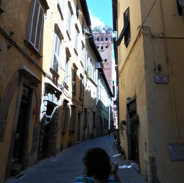 torre guinigi-lucca-souvenirdiviaggio