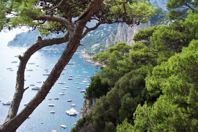 capri-souvenirdiviaggio