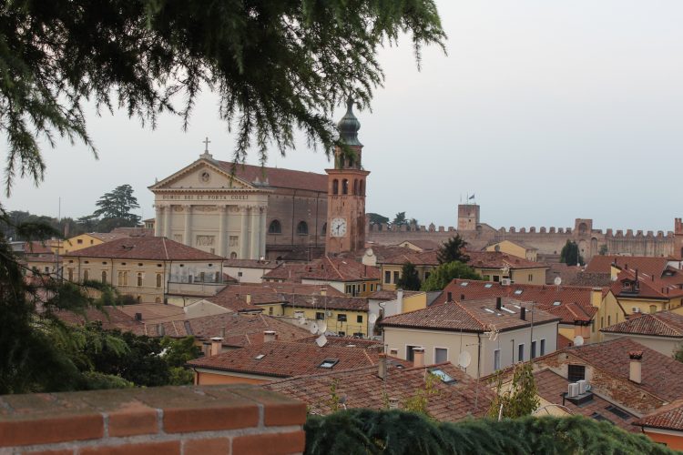 Duomo di cittadella (2)