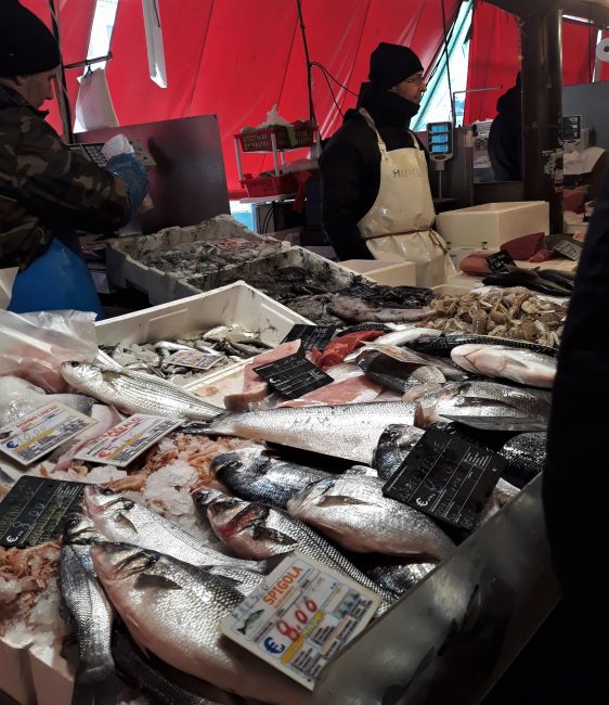 pescheria di chioggia