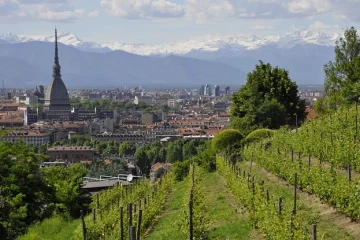 cosa vedere a torino in un giorno itinerario