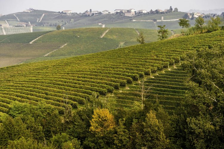 langhe-maiocchi