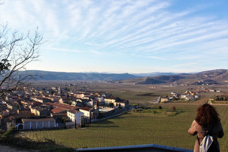 Panorama sui vigneti, Soave