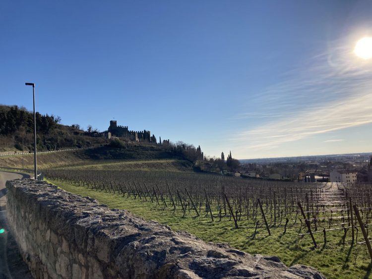 Sentiero e castello di Soave