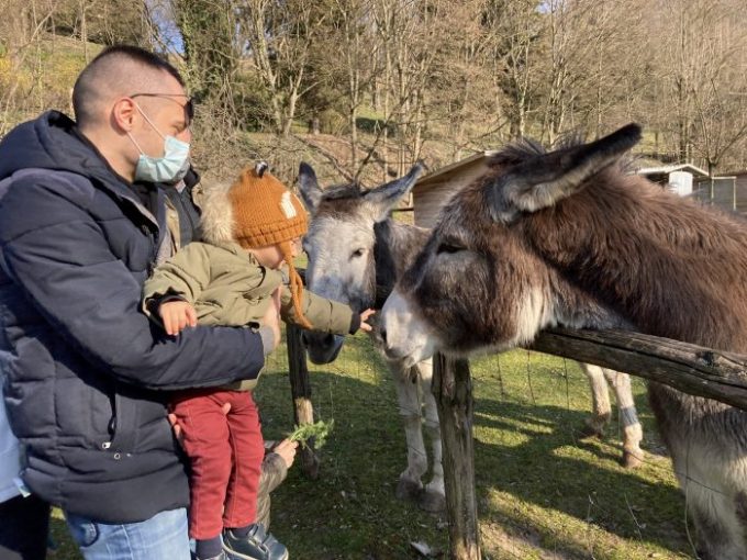 Fattoria didattica, Parco Sigurtà