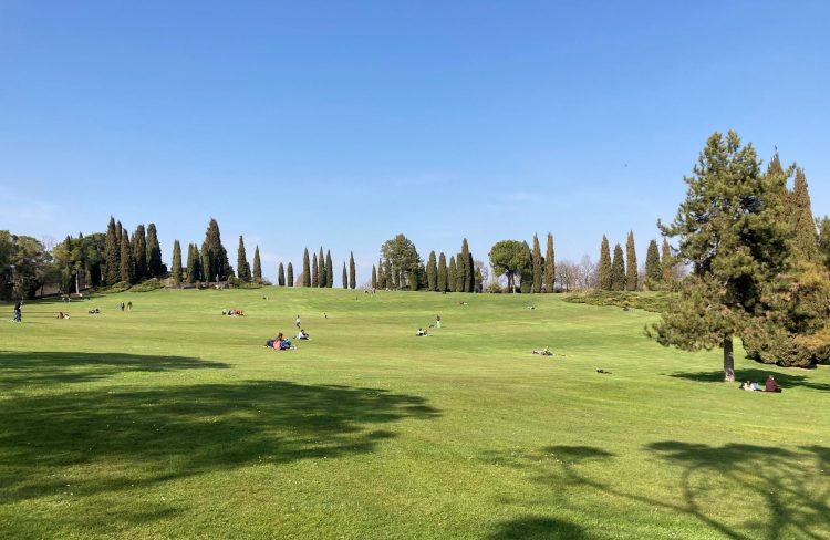 Grande tappeto erboso, Parco Giardino Sigurtà