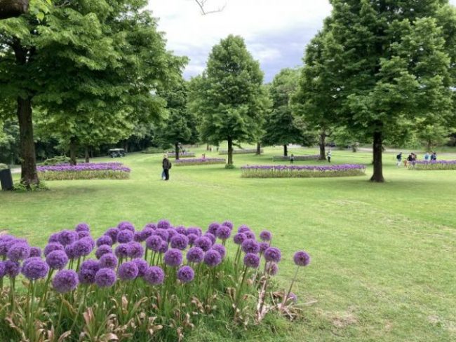 Parco Sigurtà Valeggio sul Mincio, quando andare