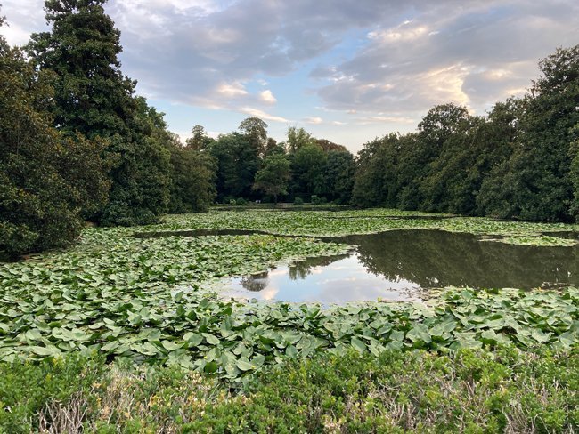 Laghetto, Giardino delle Delizie - Castello del Catajo