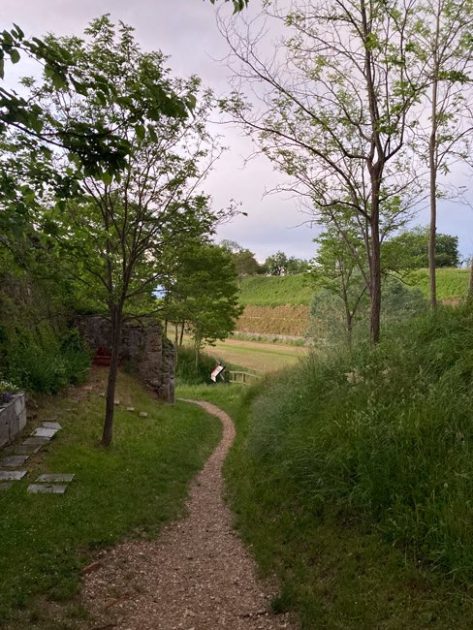 Percorso-trekking,-Palmanova