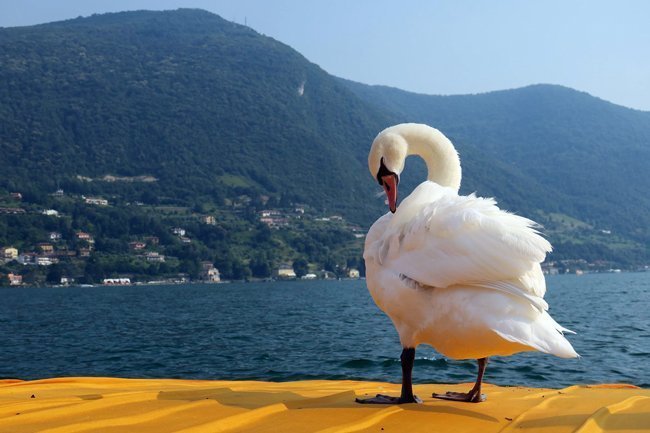 Lago-d'Iseo