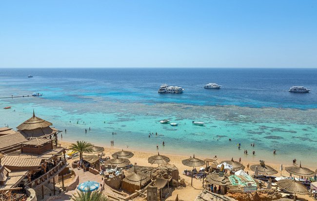 Barriera corallina, Sharm El Sheik - Egitto