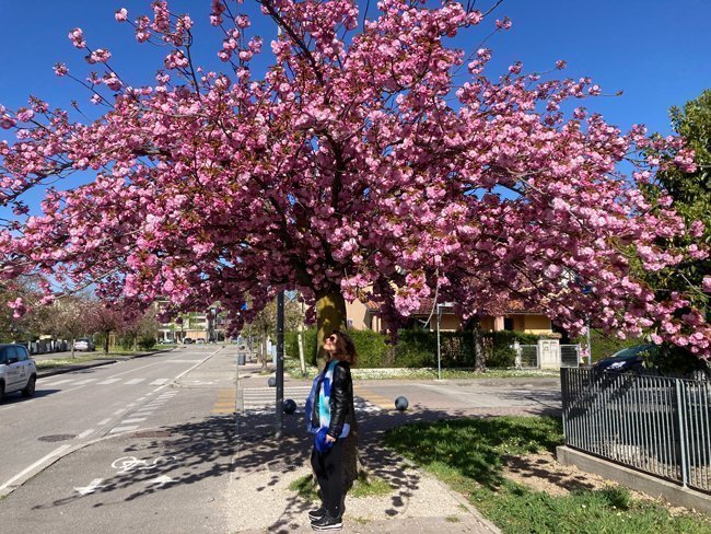 Dove andare in primavera in Italia: 10 mete | Souvenir di Viaggio