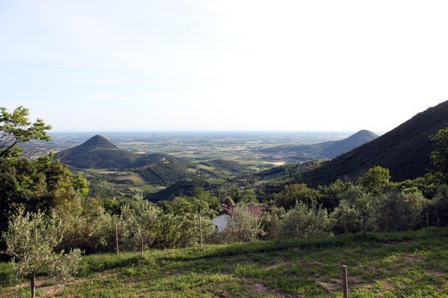 panorama-dai-sentieri-colli-euganei