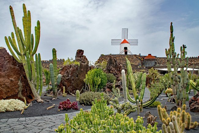 Jardín-de-Cactus-lanzarote