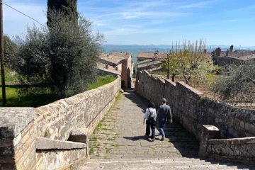 cosa-vedere-a-montalcino-in-mezza-giornata