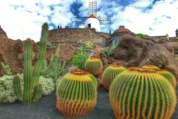 cosa-vedere-e-fare-a-lanzarote