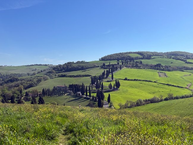 strada-panoramica-curve-di-monticchiello