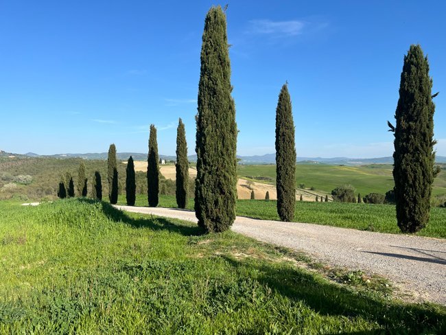 cipressi-di-san-quirico-d'orcia