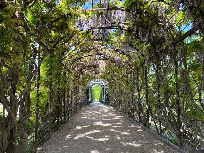 giardino-castello-schonbrunn-vienna