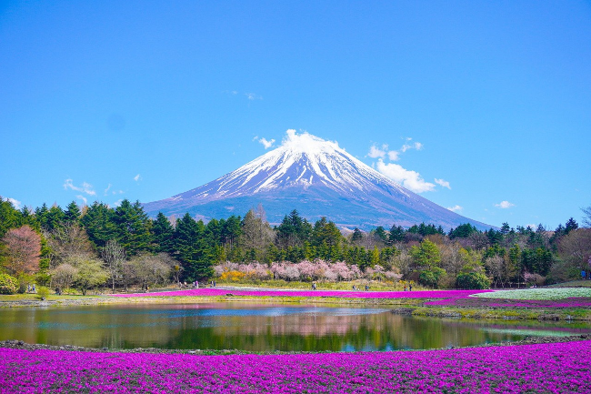 mount-fuji japan