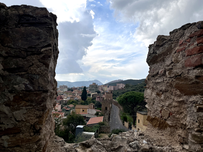 Mura viste dalla Torre Guelfa