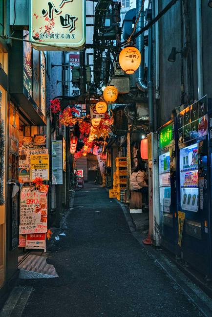 Dove dormire a Tokyo: quartieri migliori e zone Shinjuku, Tokyo