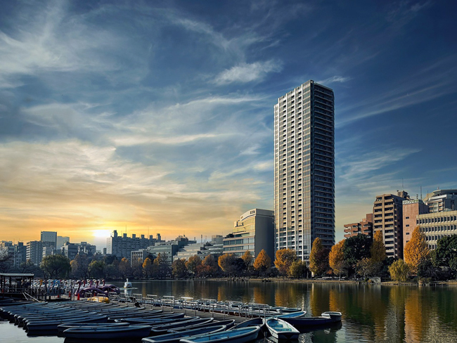 Dove dormire a Tokyo: quartieri migliori e zone Shinobazu Pond, Ueno - Tokyo