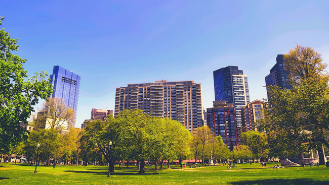 Boston Common