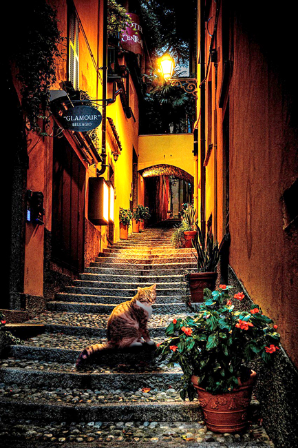 Salita Serbelloni, Bellagio