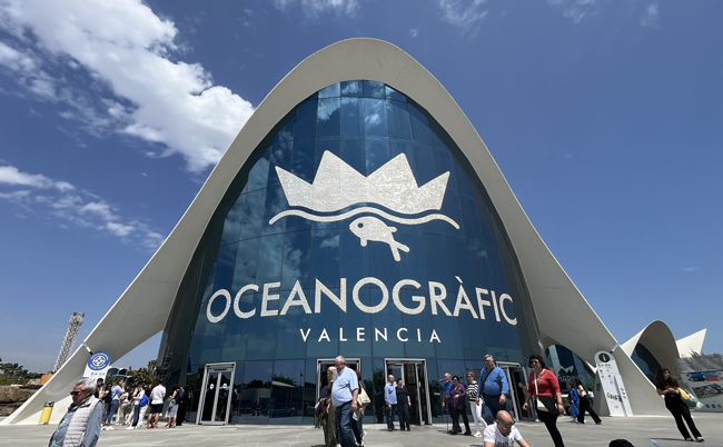 Ingresso Oceanografic, Valencia