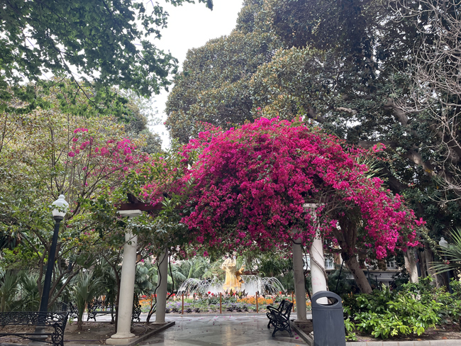 Piazza Gabriel Mirò, Alicante