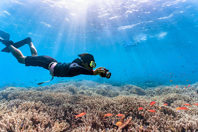 snorkeling