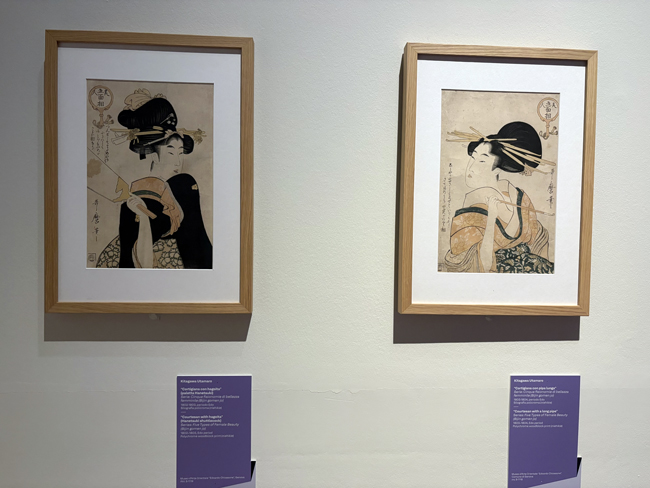 Cosa vedere a Bologna in 2 giorni: arte, mercatini e sapori tipici graphic-japan-bologna
