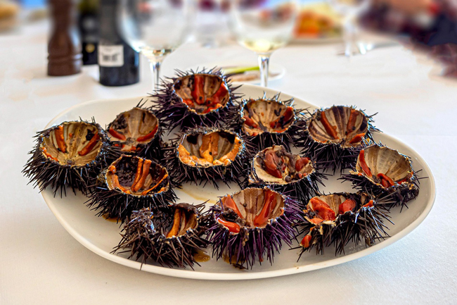 10 Piatti tipici di Alghero: cosa mangiare e dove spendendo poco Ricci di mare