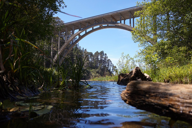 Cosa vedere a Mendocino California, la Cabot Cove di Jessica Fletcher (e non solo) Russian Gulch, Mendocino