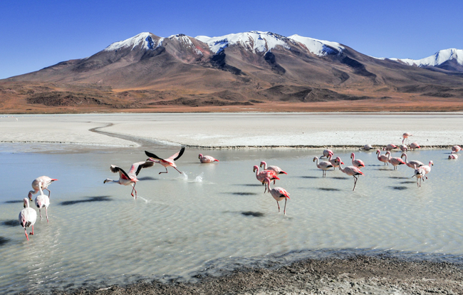 Dove andare in vacanza a giugno fuori Europa al caldo e al freddo Bolivia