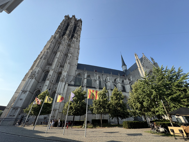 Cosa vedere a Mechelen in un giorno, il gioiello delle Fiandre Cattedrale di San Rombaldo, Mechelen