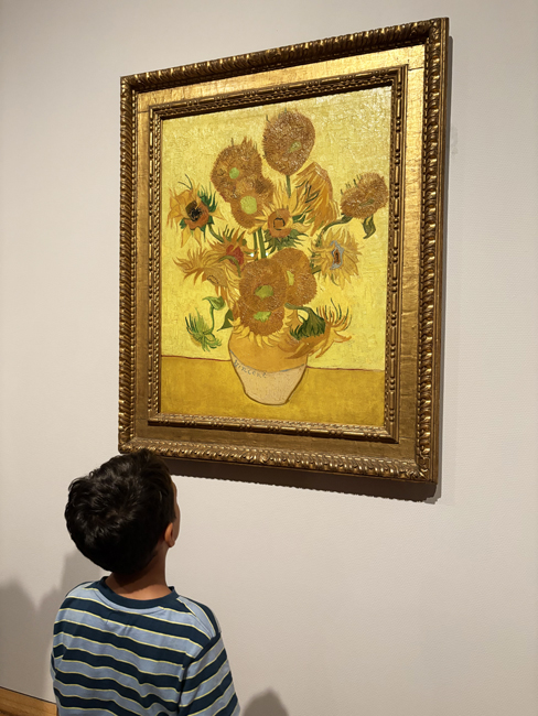 Cosa vedere ad Amsterdam in 3 giorni: itinerario e mappa I girasoli di Van Gogh, Museo Van Gogh - Amsterdam
