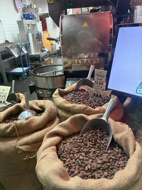 Cosa vedere in un giorno ad Anversa: itinerario e mappa Chocolate Nation, Anversa