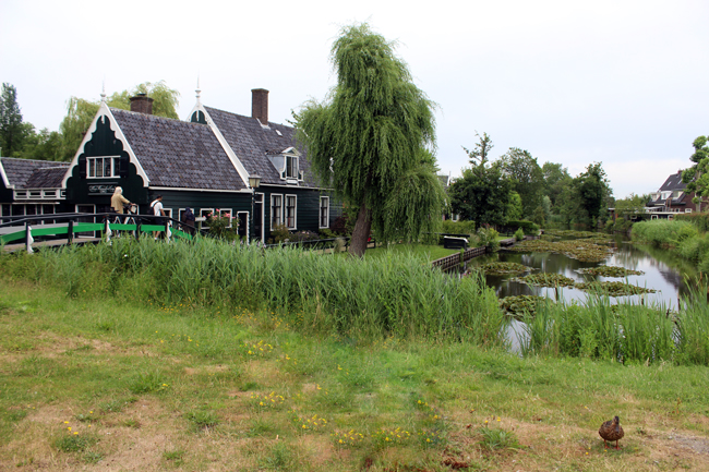 Visitare Zaanse Schans e Zaandam: cosa vedere, come arrivare e info utili Zaanse Schans